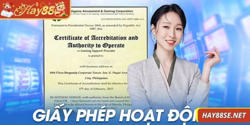 giay-phep-hoat-dong-dam-bao-hoat-hong-dung-theo-khung-phap-ly