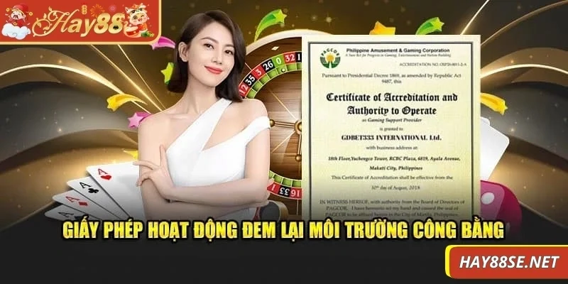 giay-phep-hoat-dong-giup-nen-tang-phat-trien-ra-thi-truong-quoc-te