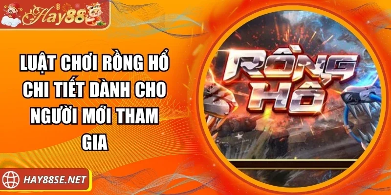 luat-choi-rong-ho