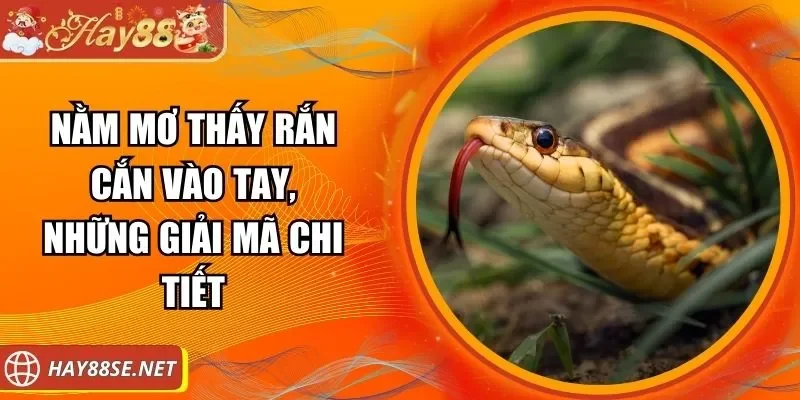 nam-mo-thay-ran-can-vao-tay-anh-dai-den